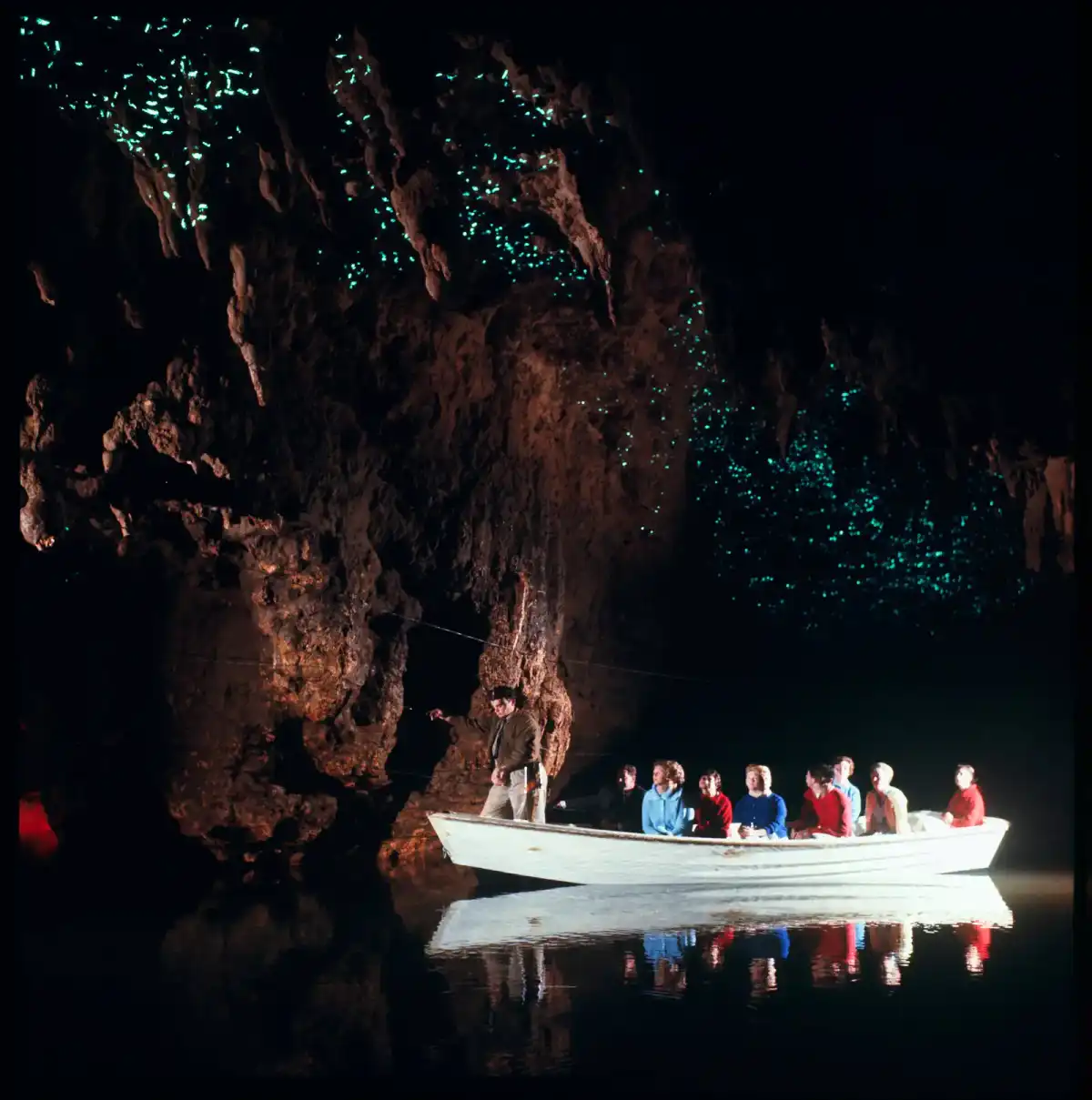 Glowworm Grotto — Waitomo