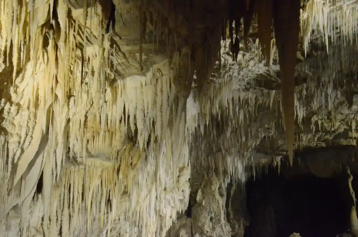 Ruakuri Cave, Waitomo — stalactieten